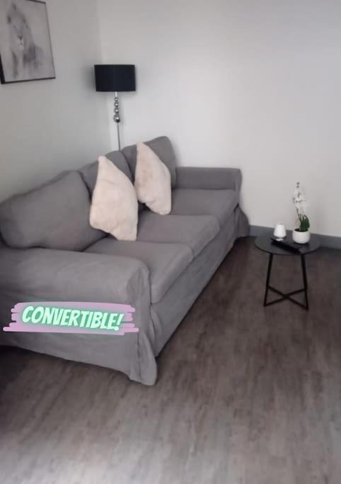 Appartement Coeur De Ville! Foix Exterior photo